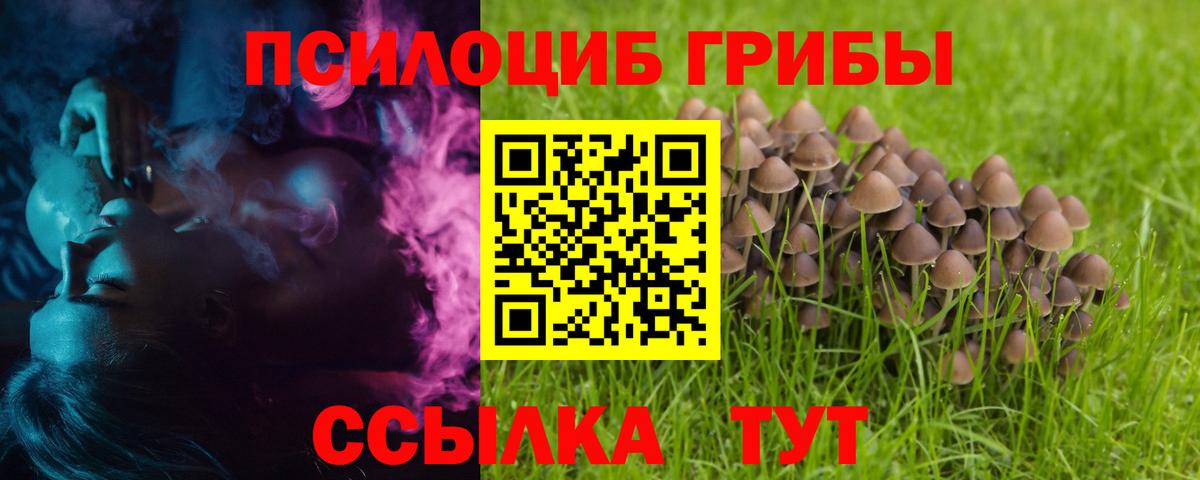 Псилоцибиновые грибы Magic Shrooms Россошь